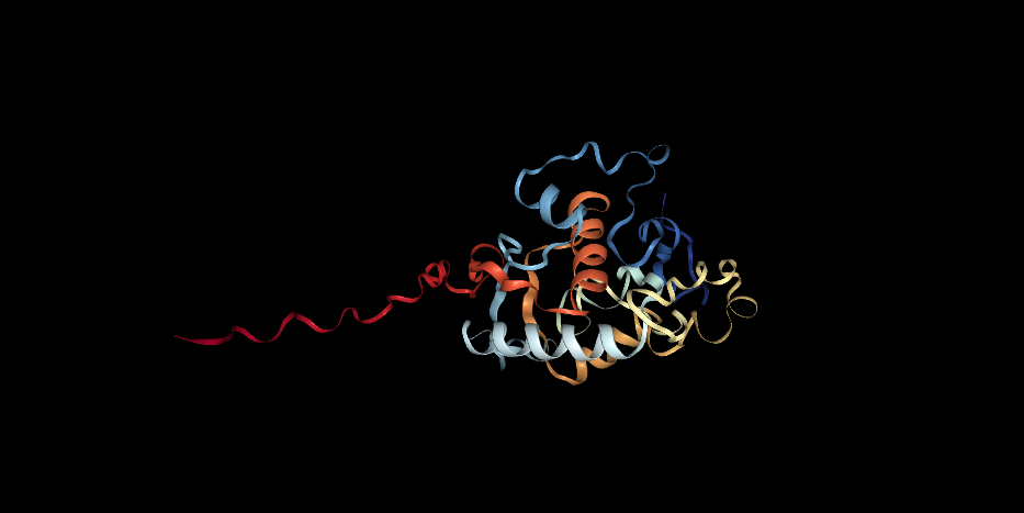 Enzyme Protein Structure